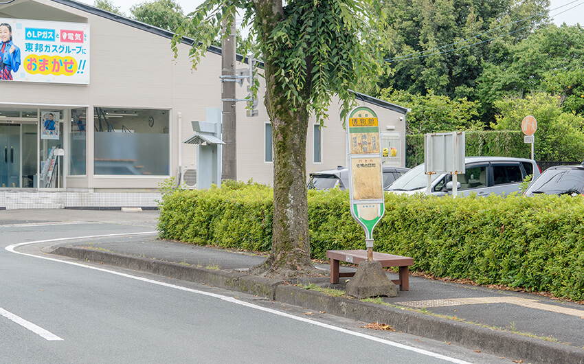 JR浜松駅方面から