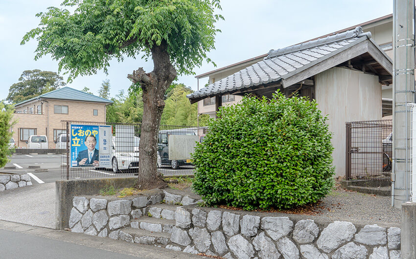 浜松市博物館の南側の道路